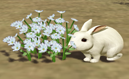 Flores y conejo – Upcycled + Sanna