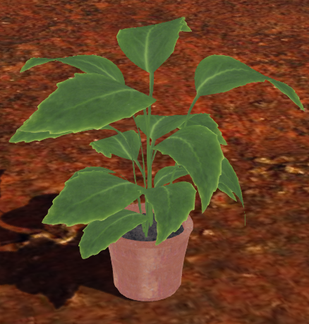 Planta – Mesh Plants