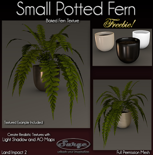 Small Potted Fern – Surge